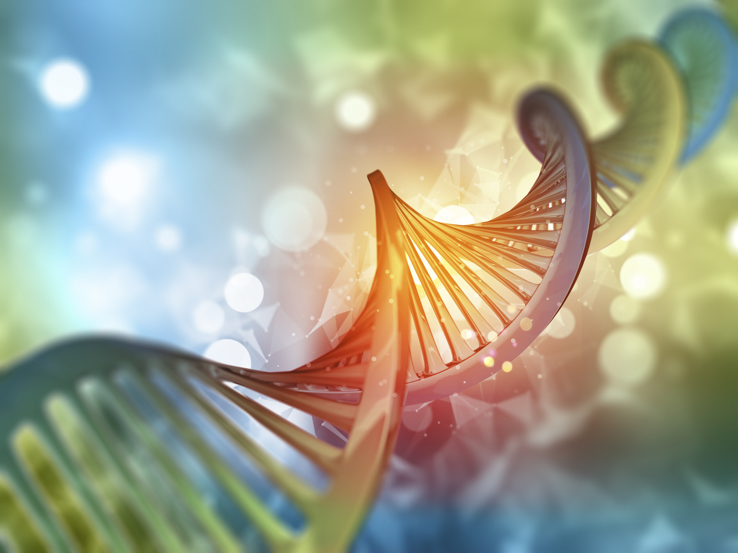 Celebrating 25 Years of Health Care